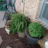 Sandra Hunt - @sandra.hunt4 - TikTok
