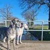 huppili - @sandrahupp1 - TikTok