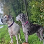 Sandra Hupp - @hupp4365 - Instagram