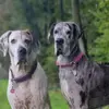 sandrahupp7 - @sandrahupp7 - TikTok