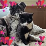 Sandra Huser - @huser_sandra - Instagram