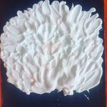 Sandra Husk - @sandymary123 - Instagram
