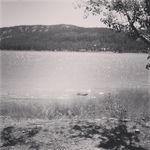 Sandra Huskey - @huskey1177 - Instagram