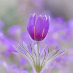 Sandra Huskey - @shuskey70 - Instagram