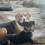 Sandra Huskey Adkins - @sadkins1376 - Instagram