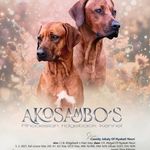 Akosambo‘s RRs Mike Maier u. Sandra Maier-Huth - @akosambos - Instagram