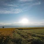 Sandra Huth - @ypsilon_sandra - Instagram
