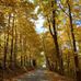 Sandra Huth - Facebook