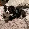 SandraHutzler - @sandrahutzler - TikTok