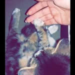 sandy - @sandra.ibrahim97 - Instagram