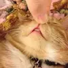 Sandra_Ice - @sandra_ice - TikTok