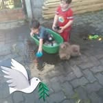 Sandra Ingle - @sandra.ingle - Instagram