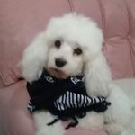 Sandra Ingleses - @sandraingleses - Instagram