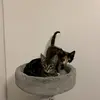 Araceli - @sandra.iniguez4 - TikTok