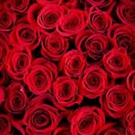 Sandra Iniguez - Facebook