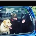 Sandra Innes - @innes5799 - Instagram