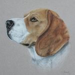 Sandra Innes - @sinnes.art - Instagram