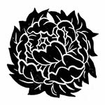 Sandra Innes Art - @sandrainnesart - Instagram