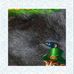 Sandra Mcinnes - Facebook