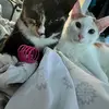 Sandra Jacinto - @sandrajacinto25 - TikTok
