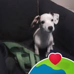 Sandra Jofre - @sandra.jofre.35 - Instagram