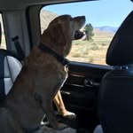 sandy joslin - @sandyjosli - Instagram
