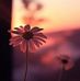 Sandra Kaiser - Facebook