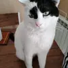 Sandra Kao - @sandra.kao5 - TikTok