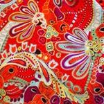 szacha74 - @sandrakaschke - Instagram