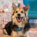 Sandra Kaul - Facebook