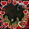 Sandra Keeton - @sandra.keeton2 - TikTok