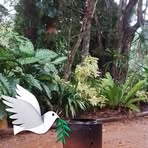 Sandra Gillman - Facebook