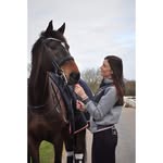 @sandrakellmann_dressage - Instagram