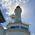 Sandra Kenney - @sandrakenney66 - Instagram