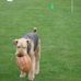 Sandra Kennington - Facebook