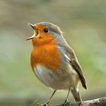Sandra Kenny - @sandra_h_kenny - Instagram