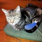 Sandra Kenny - @sandra.kenny.549 - Instagram