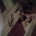 Sandra Kimball - @sandra.kimball.5667 - Instagram
