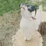 Sandra Kimball - @sandrakimball - TikTok