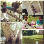 Sandra Kimble - @storytaoposhy - Instagram