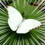 Sandra Robertson Kimmel - @sandrakimmel - Instagram