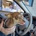 Sandra Klaus - Facebook