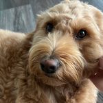 Sandra Klaus Griffin - @sandra_klaus_griffin0604 - Instagram