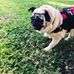 Sandra Kreider - Facebook