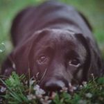 Sandra Klement - @sandra.klement.372 - Instagram