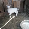 sandrakleemann - @sandrakleemann - TikTok