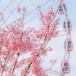 sara - @sandrakobus064 - Instagram