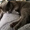 Sandra Kolar - @sandrakolar0 - TikTok