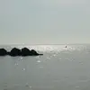 Sandra Korte289 - @sandrakorte289 - TikTok