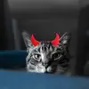 Sandra Kortstiege - @sandrakortstiege - TikTok